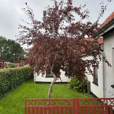 Sondervang 3 Personers Vaerelse *